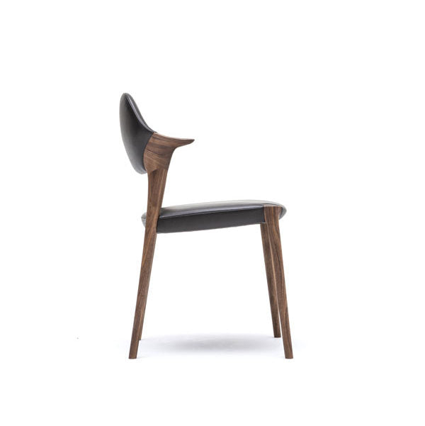 KUNST - KUNST Dining Chair - Dining Chair 